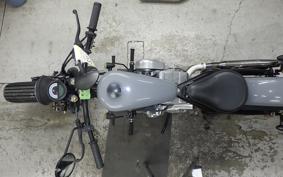 OTHER UNREGISTERED MODEL by BDS250 2020