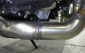 YAMAHA XSR900 GP 2026 RN96J