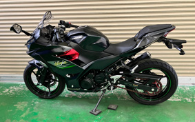 KAWASAKI NINJA 250 EX250Y
