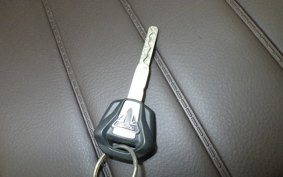 TRIUMPH SCRAMBLER400X 2024