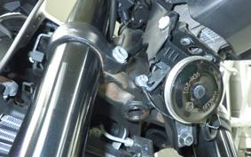 YAMAHA MT-25 A 2014 RG74J
