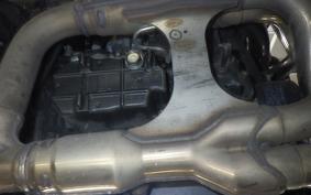 HONDA CB1300SF SUPER FOUR SP 2020 SC54