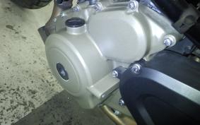 HUSQVARNA SVARTPILEN 401 2022