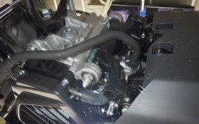 HONDA TACT Basket 2011 AF79