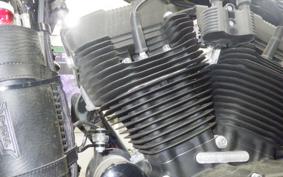 HARLEY XL1200NS 2020