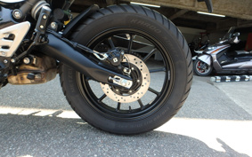 TRIUMPH SCRAMBLER 400X 2024 T147Y0