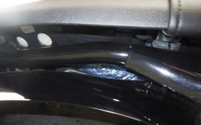 TRIUMPH BONNEVILLE T100 2024