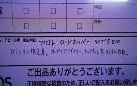 OTHER +UNREGISTERED MODEL by BDS1340 2010