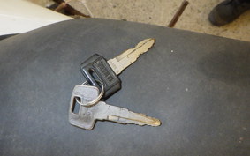 YAMAHA RZ250R 2010 29L