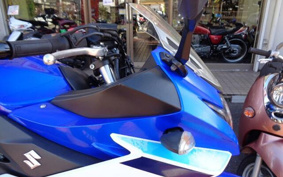 SUZUKI GSX250 R DN11A