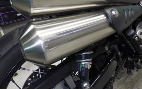 TRIUMPH SCRAMBLER 900 2023