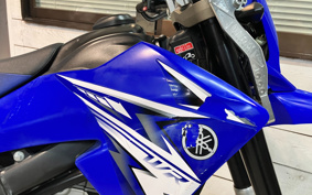 YAMAHA WR250X DG15J