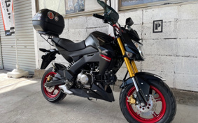 KAWASAKI Z125 PRO BR125H