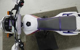 YAMAHA TT250R RAID 4GY