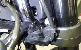HUSQVARNA SVARTPILEN 401 2024