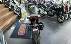 DUCATI  DUCATI 937 MONSTAR + 2024 4M00