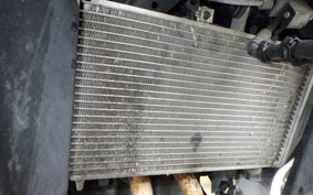 YAMAHA YZF-R25 A RG43J