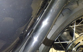 TRIUMPH BONNEVILLE T100 2022
