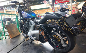 HARLEY XL883L 2010 CR2