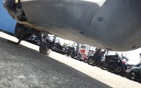 HONDA ﾀﾞﾝｸ AF74