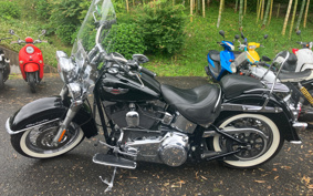 HARLEY HARLEY FLSTN1340-1450 2006 JD5