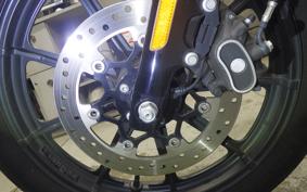 HARLEY XL1200NS 2019