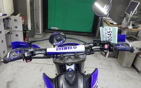 YAMAHA WR250R 2007 DG15J