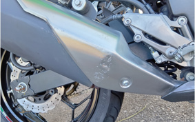 KAWASAKI NINJA 250 EX250L