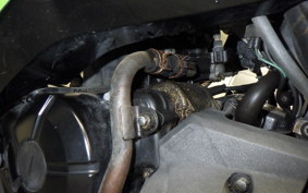 KAWASAKI NINJA 250 ABS 2023 EX250L