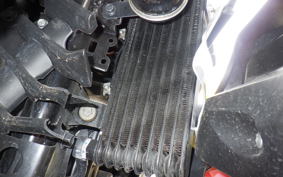 SUZUKI GIXXER 250 SF 2005 ED22Y