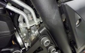 YAMAHA MT-25 2009 RG43J