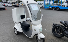 OTHER BLAZE EV DELIVERY ROOF ATTACHING