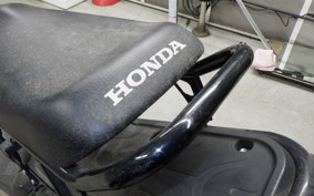 HONDA ZOOMER 2025 AF58