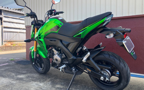 KAWASAKI Z125 PRO BR125H