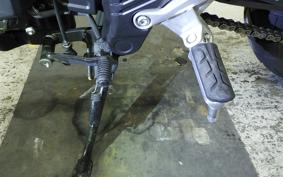 HONDA NX400 2024 NC65