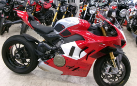 DUCATI PANIGA-REV4R 2024 3D06