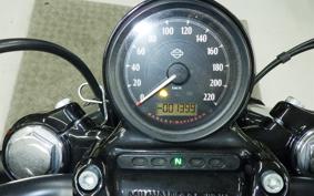 OTHER +HD. XL1200X 2022