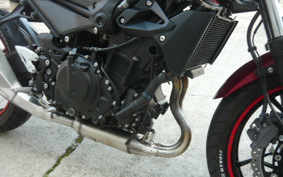 KAWASAKI Z250ABS EX250P