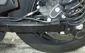 HARLEY XL1200NS 2018