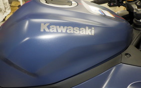 KAWASAKI ZX-25R 2013 ZX250E