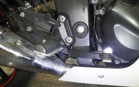 KAWASAKI NINJA 250R 2022 EX250K