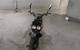 HONDA ZUMAR AF58