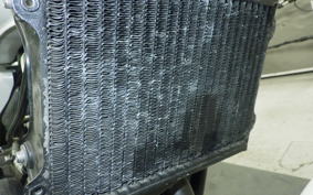 YAMAHA RZ 250 2019 4L3