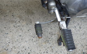 YAMAHA VIRAGO 250 3DM