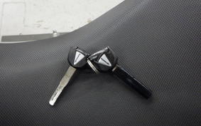 KAWASAKI NINJA 250 EX250Y