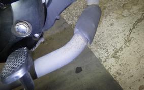 OTHER +UNREGISTERED MODEL by BDS250 1992