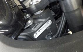 KAWASAKI NINJA 1000 A 2017 ZXT00W
