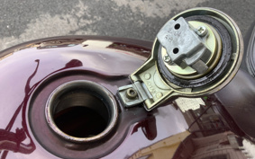 YAMAHA VIRAGO 250 3DM