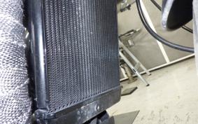 TRIUMPH SPEED400 2024