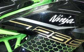 KAWASAKI NINJA 250 SL